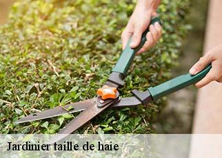 Jardinier taille de haie