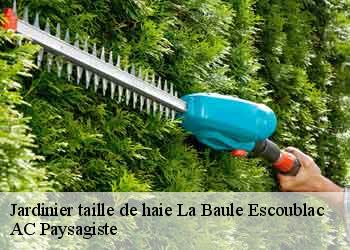 Jardinier taille de haie  44500