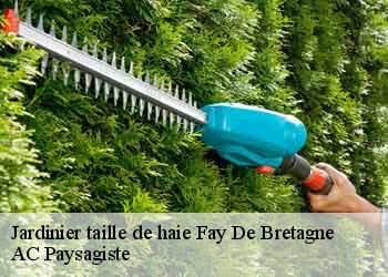 Jardinier taille de haie 44130