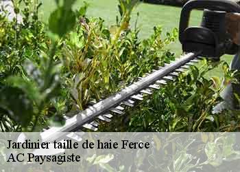 Jardinier taille de haie  ferce-44660 AC Paysagiste