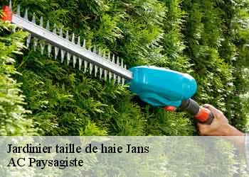 Jardinier taille de haie 44170