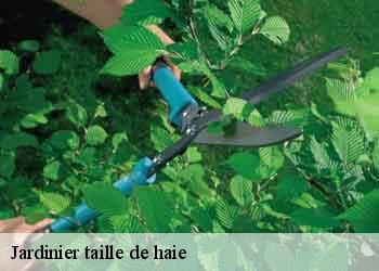 Jardinier taille de haie