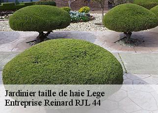 Jardinier taille de haie  lege-44650 Entreprise Reinard RJL 44