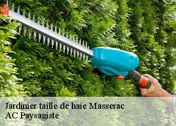 Jardinier taille de haie 44290