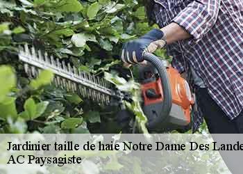 Jardinier taille de haie