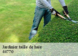 Jardinier taille de haie  44770