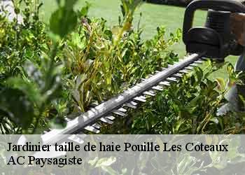 Jardinier taille de haie pouille-les-coteaux-44522 AC Paysagiste