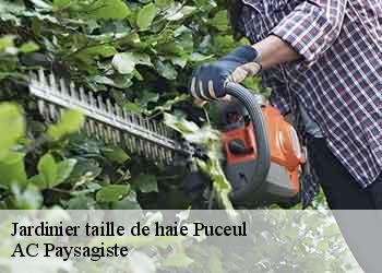 Jardinier taille de haie