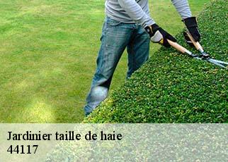 Jardinier taille de haie  44117