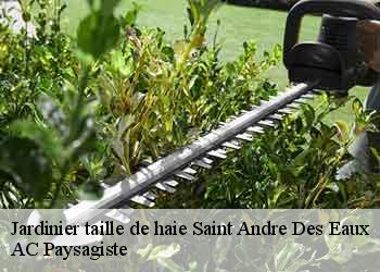 Jardinier taille de haie  saint-andre-des-eaux-44117 AC Paysagiste