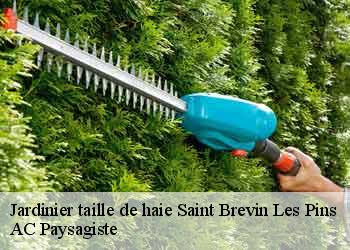 Jardinier taille de haie 44250