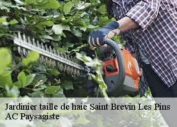 Jardinier taille de haie