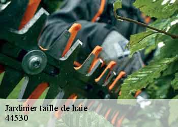 Jardinier taille de haie