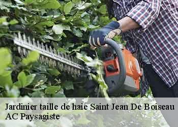 Jardinier taille de haie