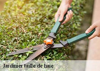 Jardinier taille de haie