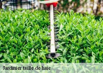 Jardinier taille de haie 44190