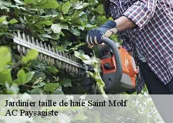 Jardinier taille de haie