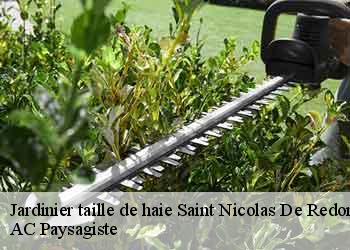 Jardinier taille de haie saint-nicolas-de-redon-44460 AC Paysagiste