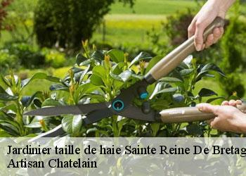 Jardinier taille de haie  sainte-reine-de-bretagne-44160 Artisan Chatelain 