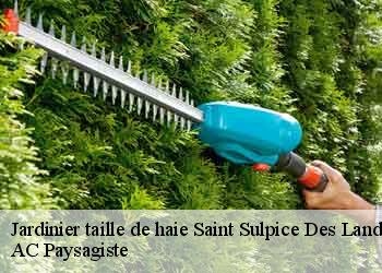Jardinier taille de haie  44540