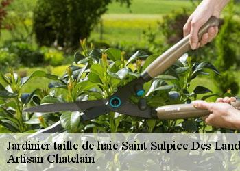 Jardinier taille de haie  saint-sulpice-des-landes-44540 Artisan Chatelain