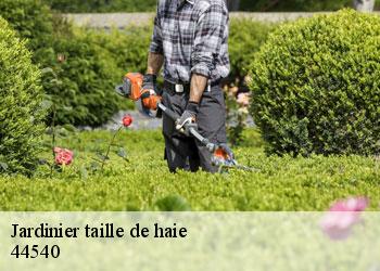 Jardinier taille de haie  44540