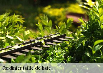 Jardinier taille de haie