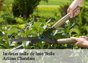 Jardinier taille de haie  teille-44440 Artisan Chatelain 