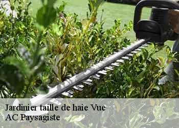 Jardinier taille de haie vue-44640 AC Paysagiste