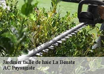 Jardinier taille de haie la-benate-44650 AC Paysagiste