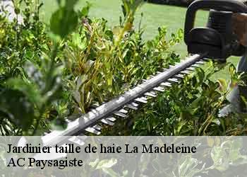 Jardinier taille de haie la-madeleine-44350 AC Paysagiste