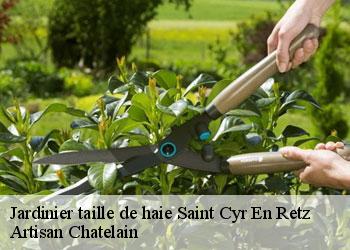 Jardinier taille de haie  saint-cyr-en-retz-44580 Artisan Chatelain 