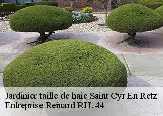 Jardinier taille de haie  saint-cyr-en-retz-44580 Entreprise Reinard RJL 44