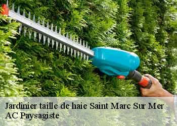 Jardinier taille de haie 44600