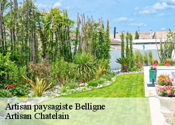 Artisan paysagiste belligne-44370 Artisan Chatelain