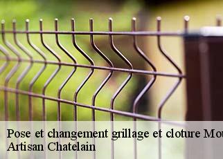 Pose et changement grillage et cloture  mouais-44590 Artisan Chatelain 