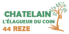 elagage-artisan-chatelain